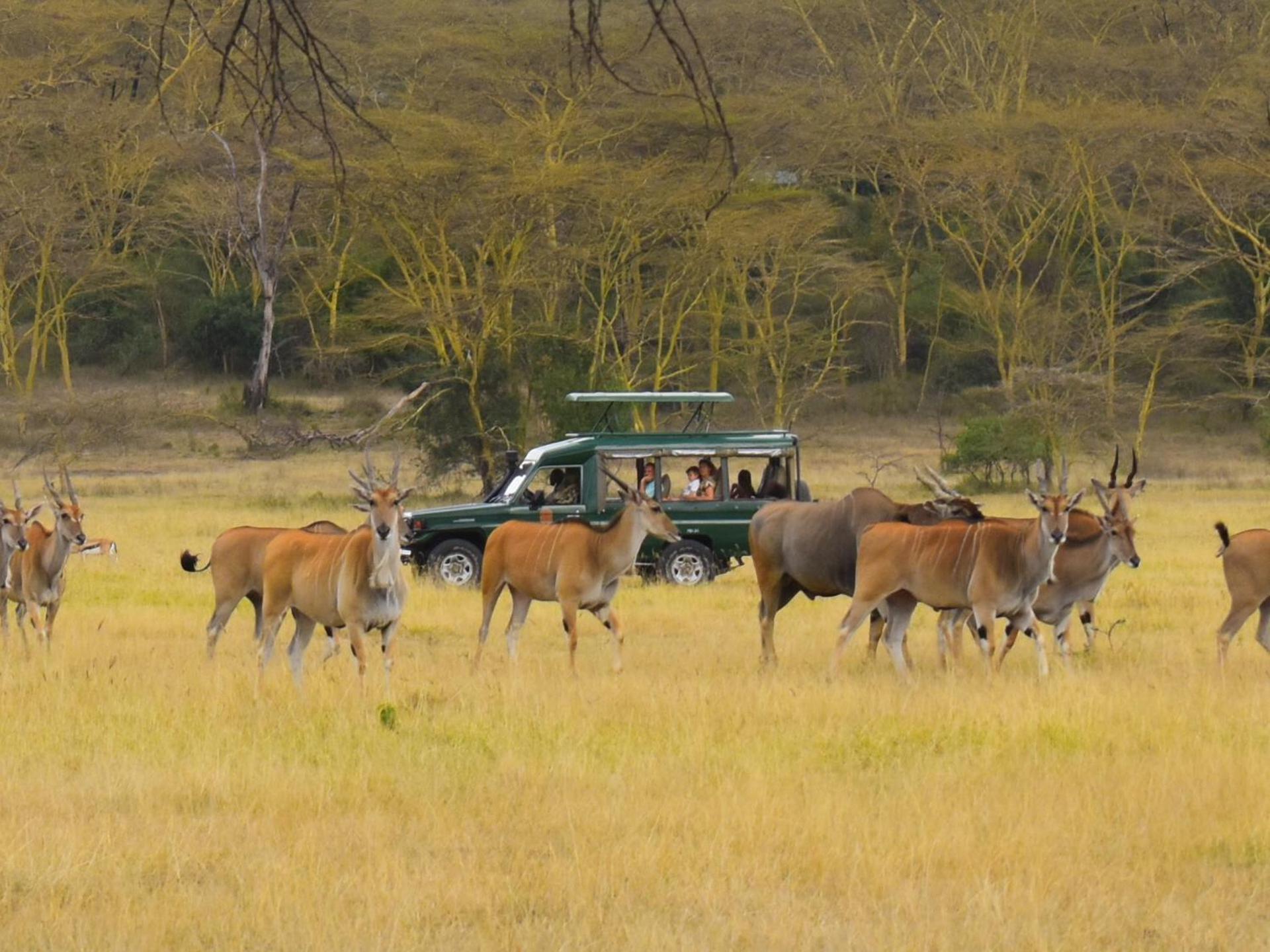 Lake Elmenteita Serena Camp Buitenkant foto